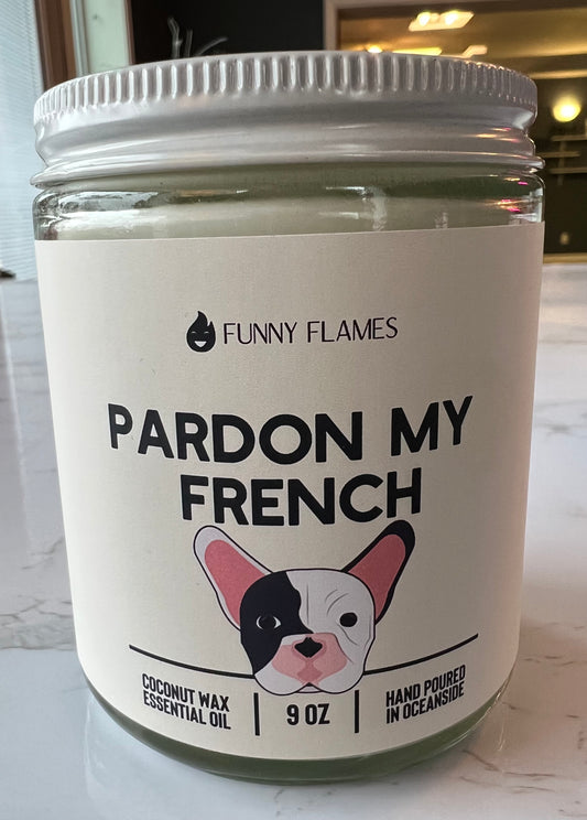 Funny Candles - 9 oz